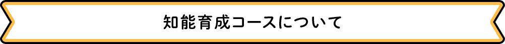 知能育成コースについて