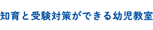 全国140教室 知育と受験対策ができる幼児教室