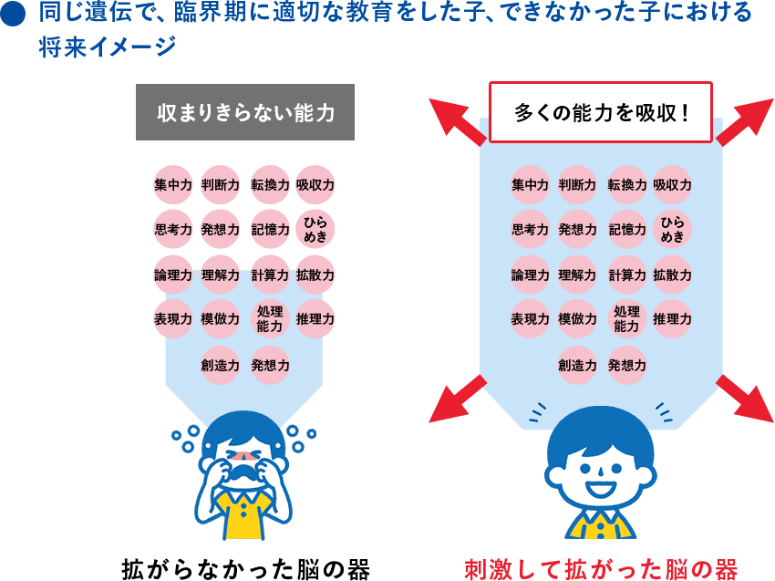 同じ遺伝で、臨界期に適切な教育をした子、できなかった子における将来イメージ