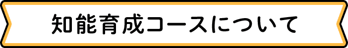 知能育成コースについて