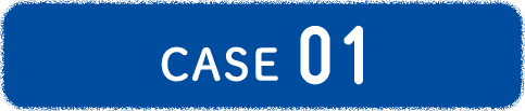 CASE 01
