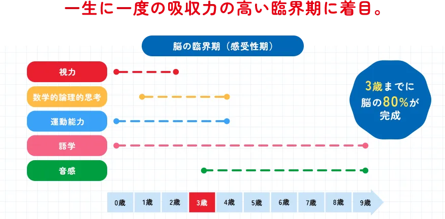 一生に一度の吸収力の高い臨界期に着目。