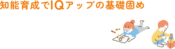 知能育成でIQアップの基礎固め