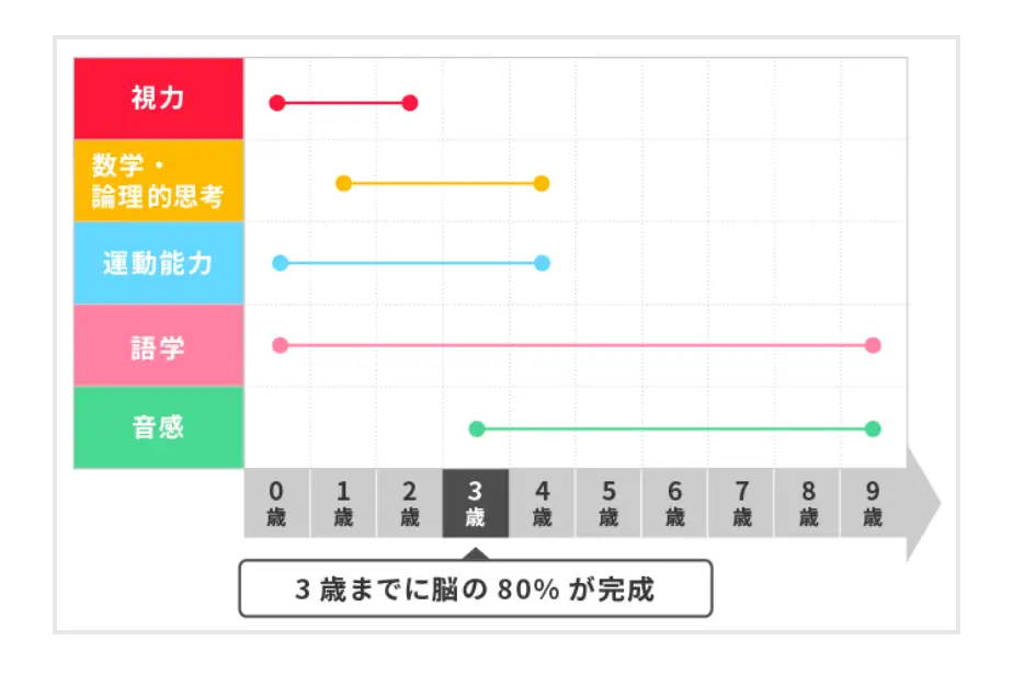 臨界期イメージ図