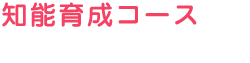 知育育成コース 生まれた時から「学びたい」