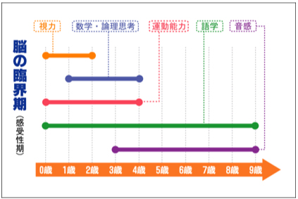 *1 臨界期・・・ある能力を獲得するのに最適な時期