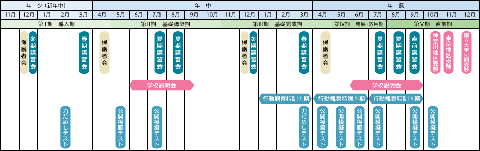 チャイルドアイズ小学校受験年中年長一年間半分-