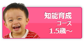 知能育成コース 1.5歳～