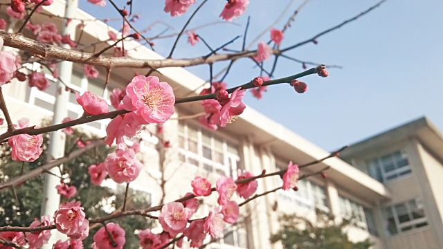 瑞穂通校