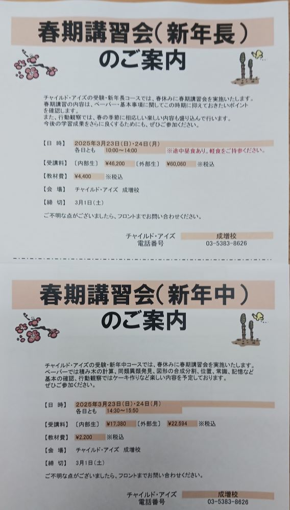 Amazon.co.jp: ミネルバ チャイルドアイズ教材 小学校受験用