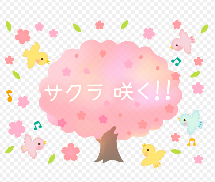 松戸校