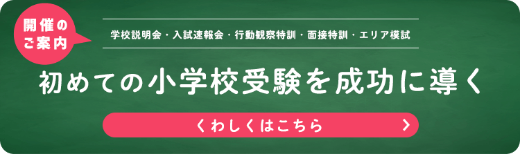 クリアランス通販 チャイルドアイズ教材 20、21期 一年生 知育玩具
