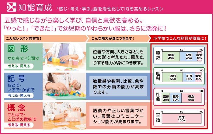 知能育成 「感じ・考え・学ぶ」脳を活性化してIQを高めるレッスン