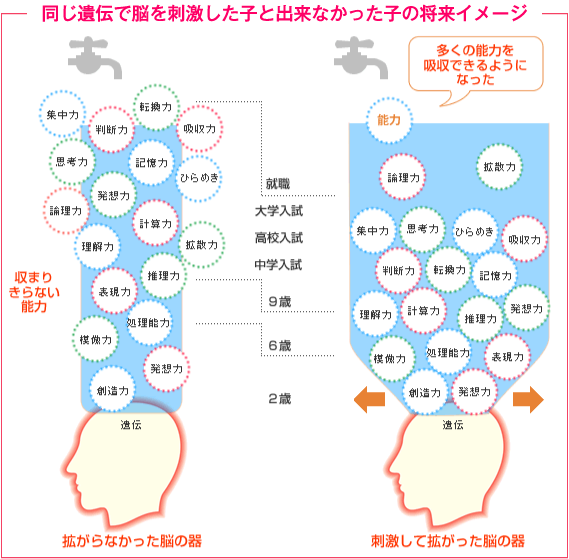 同じ遺伝で脳を刺激した子と出来なかった子の将来イメージ