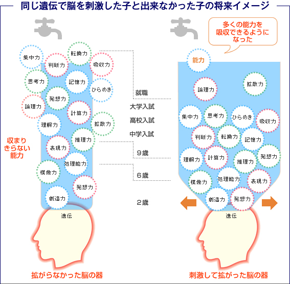 同じ遺伝で脳を刺激した子と出来なかった子の将来イメージ